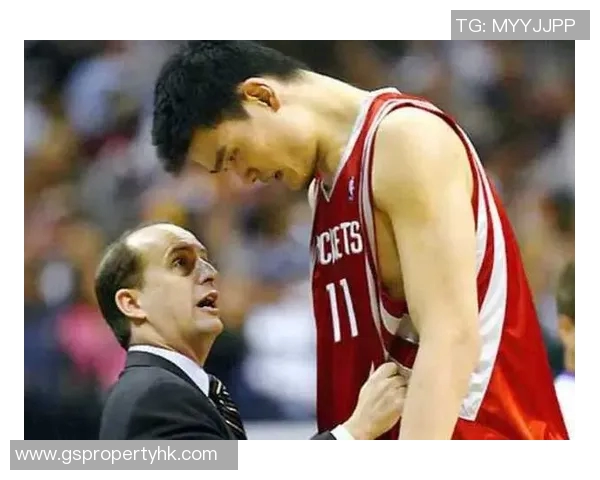 斯坦范甘迪与姚明的篮球传奇交汇点探讨与启示