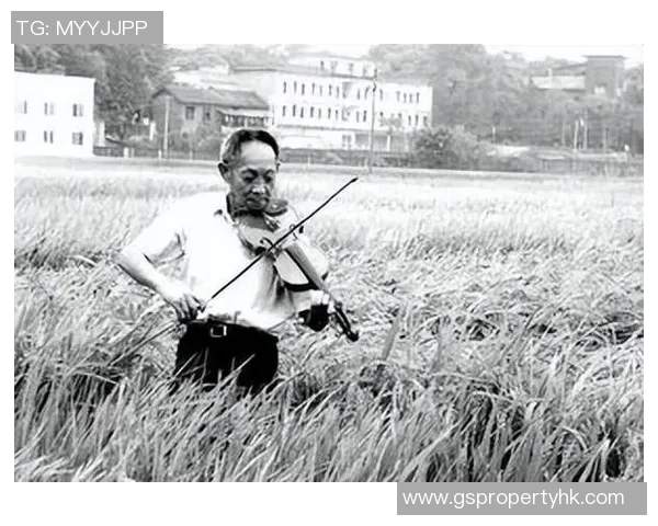 袁隆平与姚明的工资对比揭示了中国体育与农业的不同价值观与社会地位 袁隆平与姚明的工资对比揭示了中国体育与农业的不同价值观与社会地位